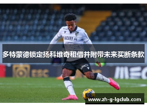 多特蒙德锁定扬科维奇租借并附带未来买断条款